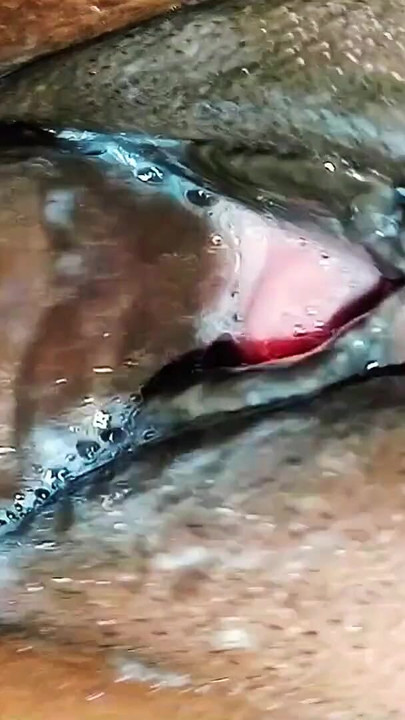 desi village aunty fuck mms, beautiful doggy style xnxx | Clip 1