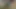 Geile serbische Freundin, brutaler Sex