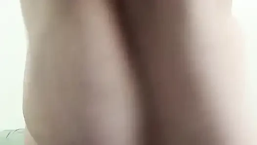Hüpfende möpse