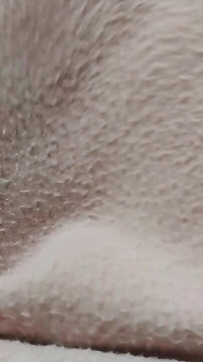 เด็กผู้ชายใช้เวลากับแฟนสาวที่บ้าน