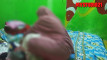 Pregled videozapisa