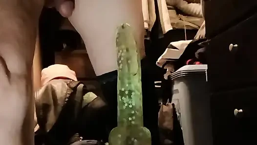Dee Time play Time