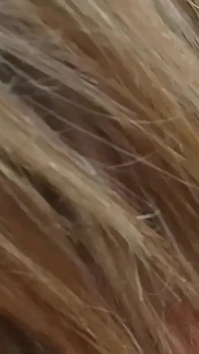 Key moment from "Fucking my ex wife while she was taning"