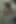 Tracys evinde amatör fotoğraf çekimi