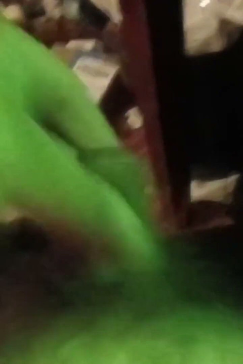 Cumming with a Green Glowing Light
