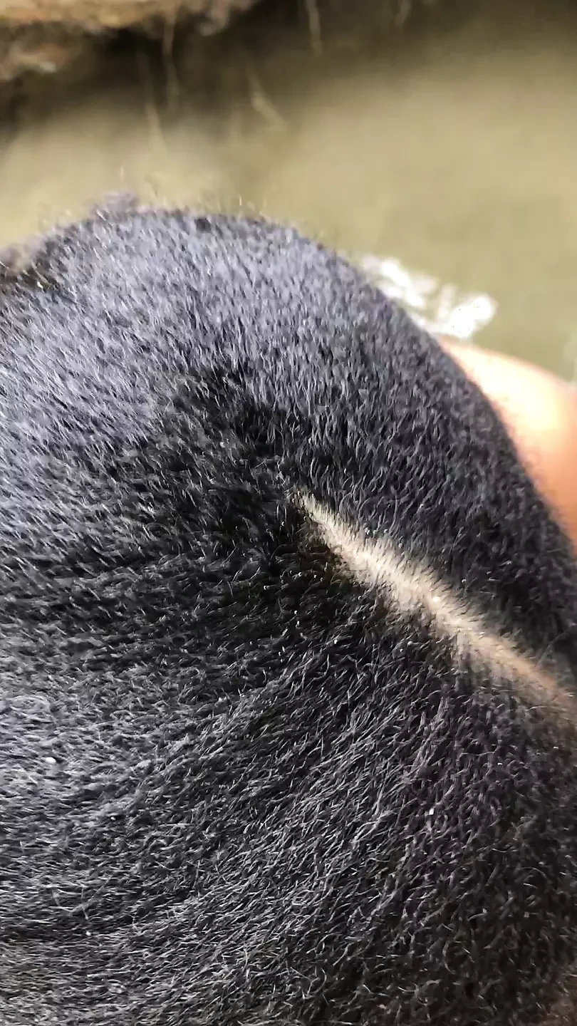 It me very well and comes inside me I like to suck it