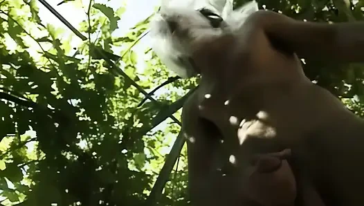 Busige Blondine wird von zwei großen Schwänzen gefickt