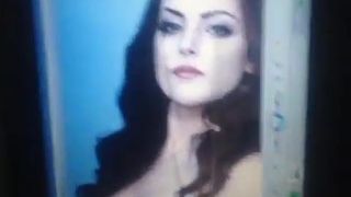 My cumtribute for Elizabeth Gillies