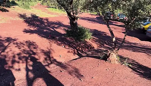 She Asked Me to Stop the Car so She Could Suck Me off
