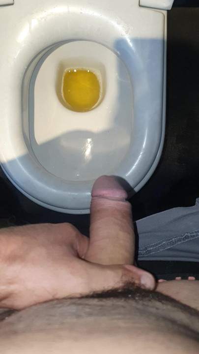 Pissing in public toilets turns me on hot hot pee