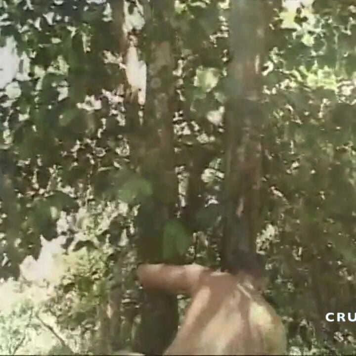 Latino twink fucked barebzkc in exhib cruising forest