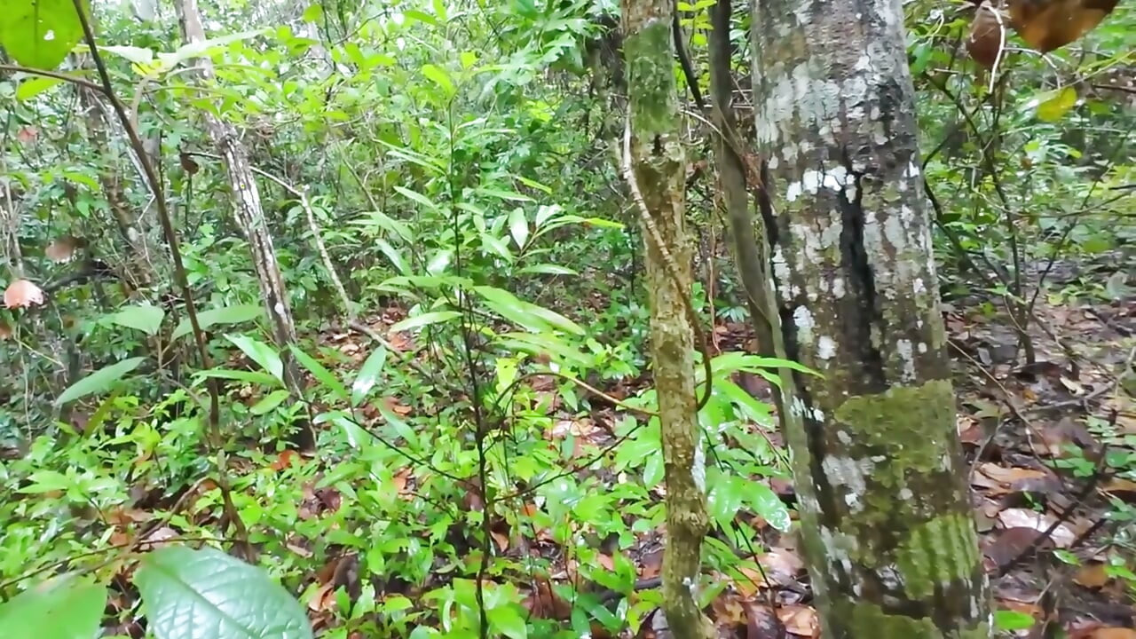 Thai Teenagers get Lost in the Forest and get Horny, so they have Sex.