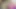 Üvey annem yatarken üvey kız kardeşimle sikişiyorum - bölüm 1 - İspanyolca porno