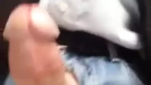 Görkemli horoz!
