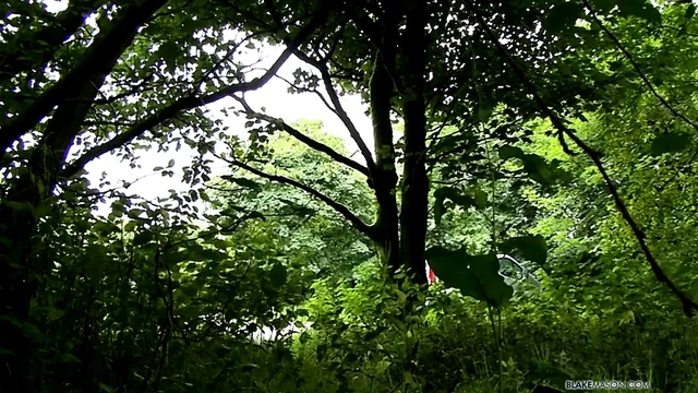 Seth acquires Double The penis In The Woods