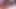 Porno aktrisi Andre Love'tan sulu sakso. Bu kız dölümü seviyor// [4k]