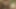 Black vagina of an African chick is screaming for dirty sex