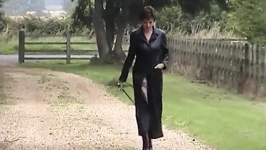 Мои конюшни Mayfield