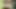 Pakistani Stepmom Masturbating While Watching Porn On Mobile