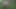 Annadevot - You wanted it…