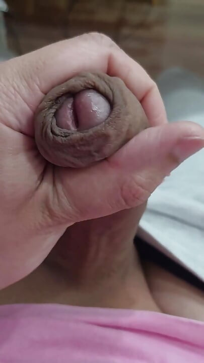 The Head of My Penis