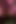 Deep Anal Fisting Slut with Cum Lube with Rosebutt Prolapse Extreme Bareback Wet Fart Stretching - Cherryblossom87
