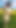 Naked and public in the field | Clip 1
