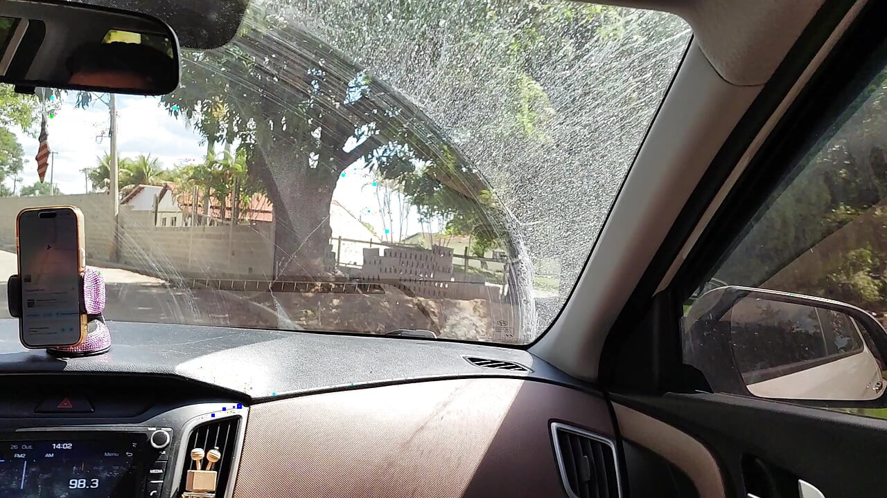 I Made Her Suck It in the Car