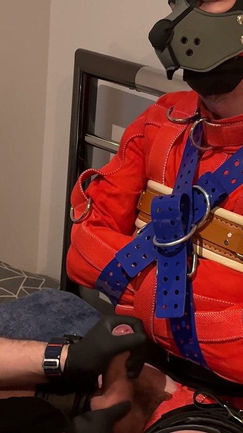Pup Straitjacketed and Edged