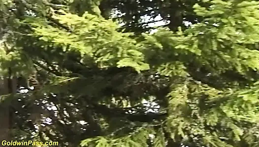 Vahşi Alman açık havada klan terapisi