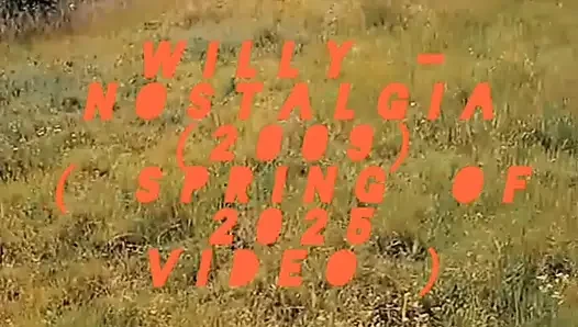 WillyAlexandruPetre-video