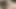 Half-inch micro penis,, tiny cock jack off