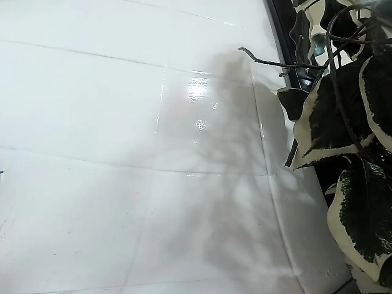 Lizzy Yum VR 2025 Edging #198