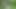 Horny Crossdress Whores Fucking in the Woods
