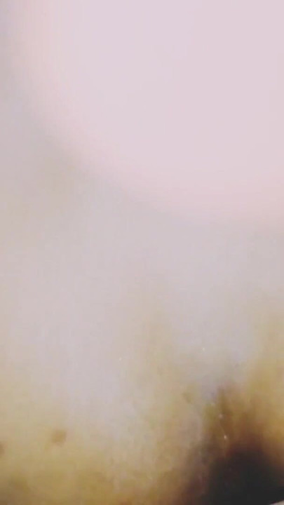 Passionate Amateur Wife Doggy Style and Intimate Lovemaking | Clip 1