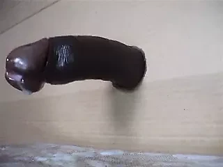 Cardboard lover