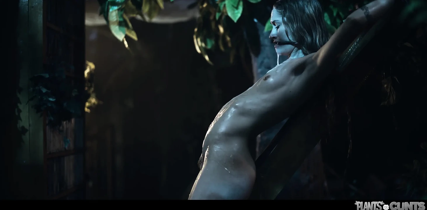 植物大战阴户 第11卷