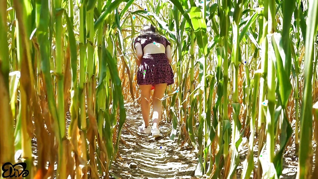 Horny BLOWJOB in a corn field