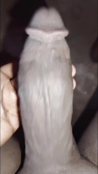 سودان الديك الظلام