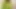 Amateur Crossdresser Kellycd2022 Sexy MILF on Holiday in Green Mesh Dress and White Stockings