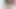 女の子たちが完璧な尻を舐めたりキスしたりする!