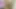 Amateur Busty Babe with Big Natural Tits and Smooth Shaved Pussy Gets Fully Exposed in Intimate Close-Up Action"
