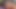 Having Sex in the Forest with a Big Cock