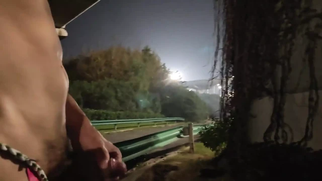 Masturbating Naked on the Side of the Freeway at Night