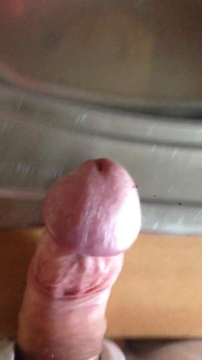 Spermabecken