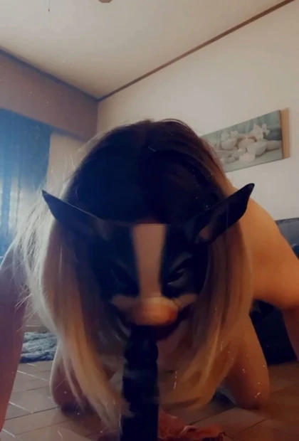 Little pig sow