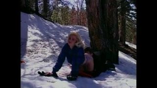 Cabin Fever (1995)