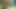 Connivingrat 3D Porn Hentai Compilation 41