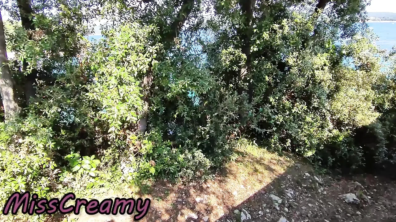 Dick Flash! We Got Caught! Teacher Blowjob Nude at the Sea (Cum In Mouth)! - MissCreamy