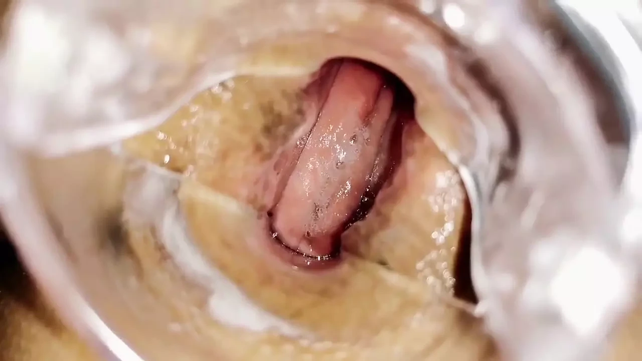 大棕色菊花张开，相机特写